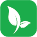Tree Management Systems