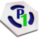 Pay First Solutions